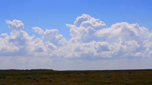 Scenic view of grassy landscape against sky