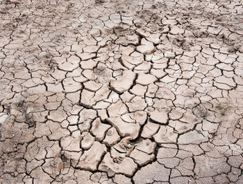 Full frame image of cracked field