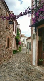 Narrow road leading towards houses