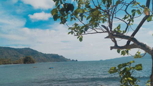 Scenic view of sea against sky