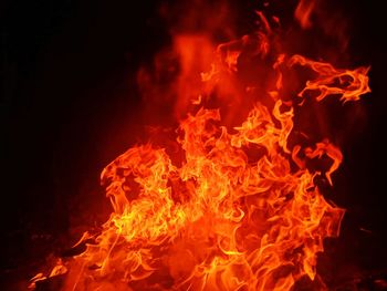 Close-up of fire against black background