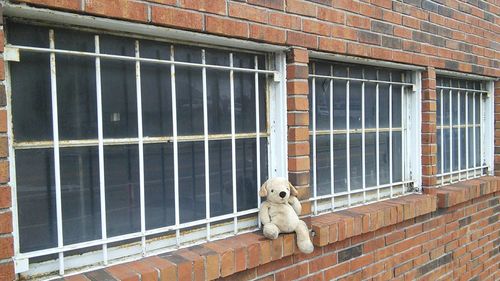 Dog in cage
