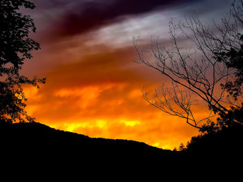 Low angle view of silhouette tree against sky during sunset