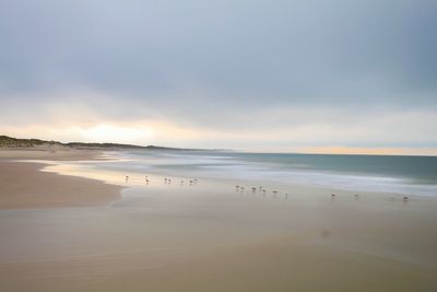 View of calm beach against dramatic sky