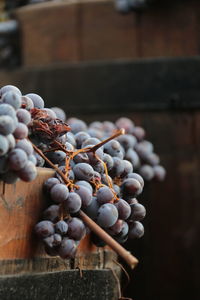 Close-up of grapes