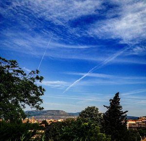 Scenic view of trees against cloudy sky