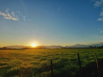 Scenic view of field against sky during sunset