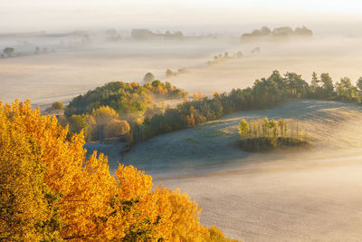 High angle view of trees on landscape during autumn