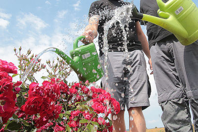 People standing by flowering plants