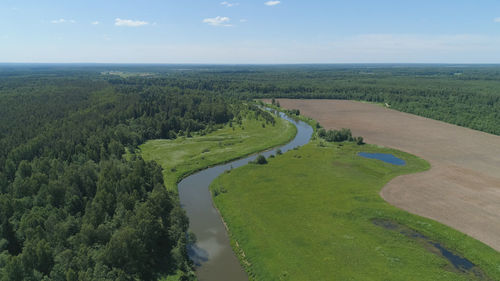 Aerial view summer landscape, river among trees, farmlands. 