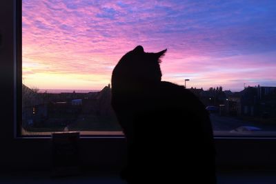 Silhouette cat looking through window at sunset