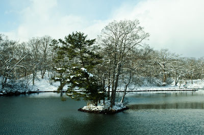 Bare trees by river against sky during winter