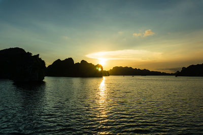 Silhouette of trees at sunset