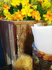 Close-up of yellow flowers