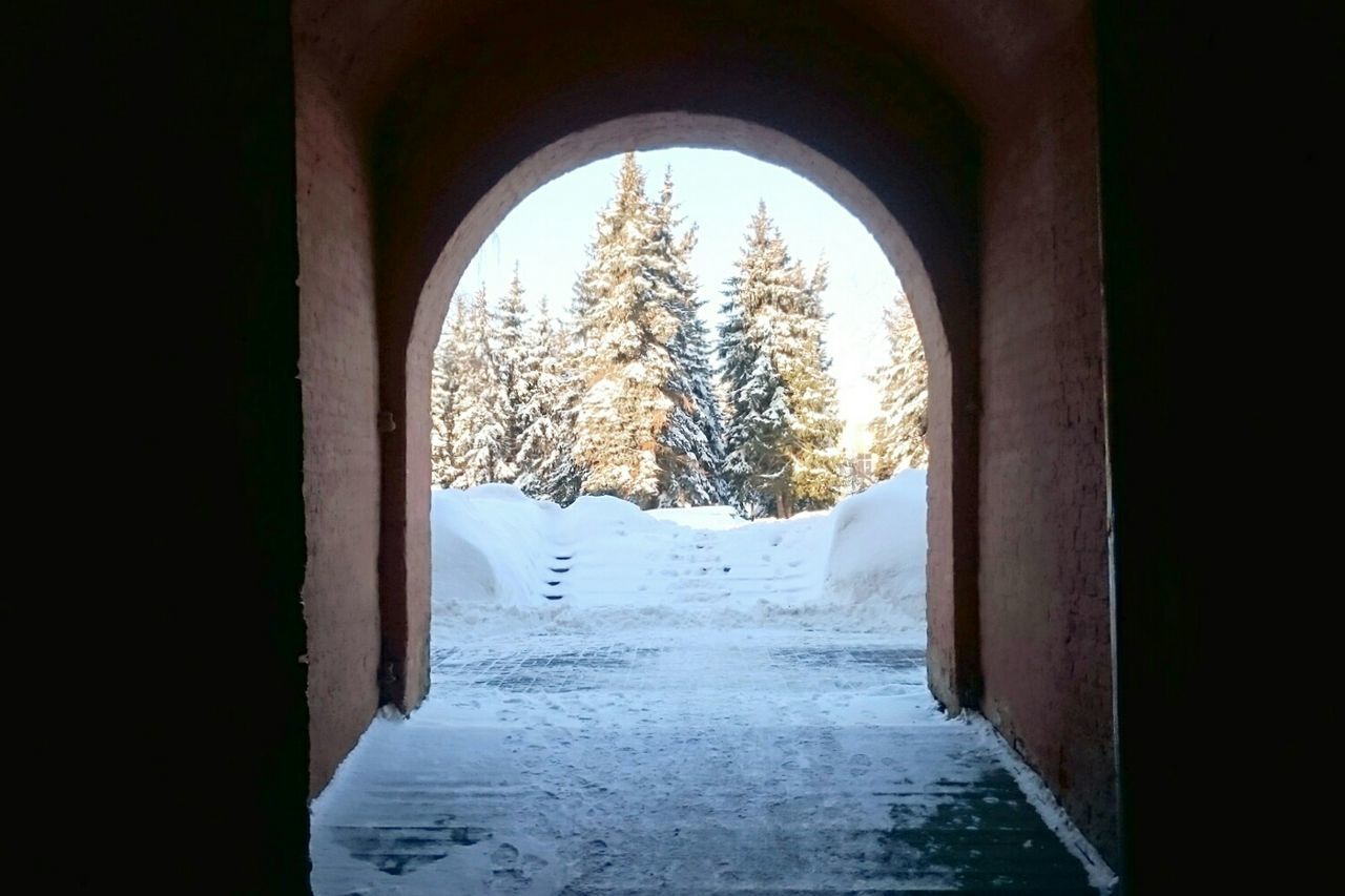 arch, indoors, archway, architecture, built structure, water, tunnel, tree, the way forward, day, season, street, wet, circle, entrance, window, reflection