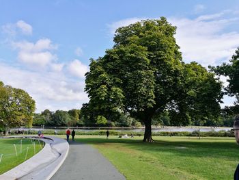 Trees in park against sky