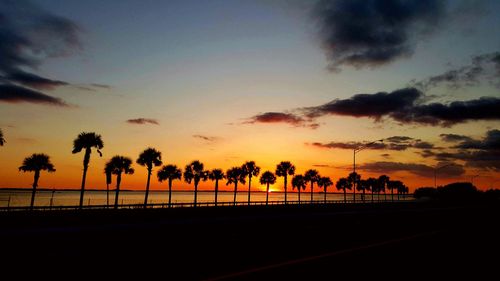 Silhouette palm trees against scenic sky