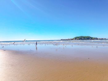 Scenic view of beach against clear blue sky