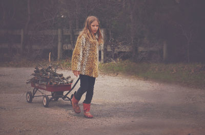 Full length portrait of girl pulling push cart with firewood on road