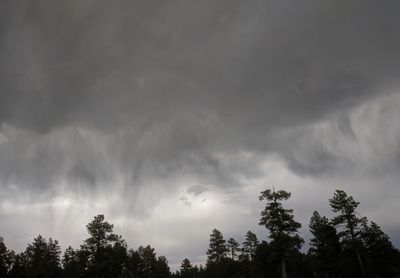 Low angle view of trees against cloudy sky