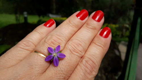 Close-up of hand holding red flower