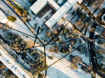 High angle view of trees by building