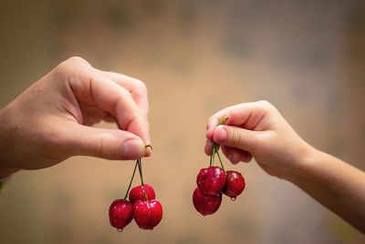 Close-up of hand holding berries