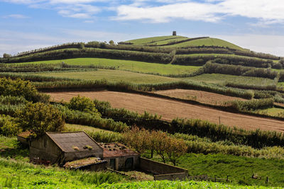 Scenic view of agricultural field against sky