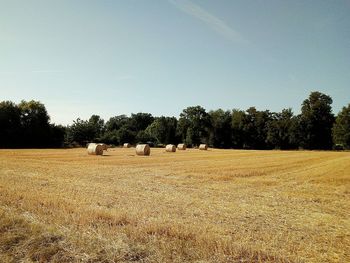 Hay bales on field against sky