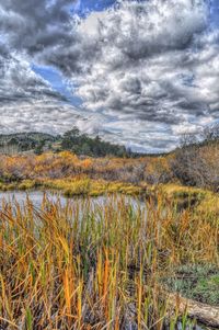 Scenic view of landscape against cloudy sky