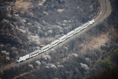 High angle view of road amidst trees