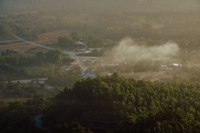 High angle view of trees on landscape