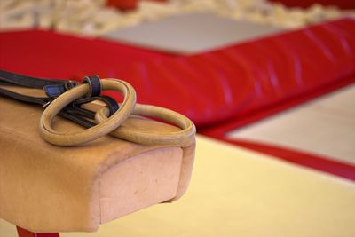 Close-up of gymnastic rings on pummel horse