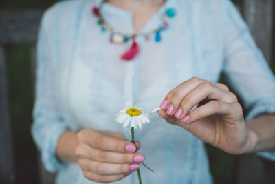 Midsection of woman holding daisy