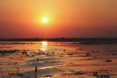 Scenic view of sea against orange sky