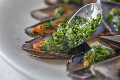 Close up of parsley pouring on some mussels.