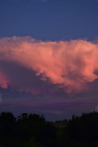 Low angle view of silhouette trees against sky during sunset