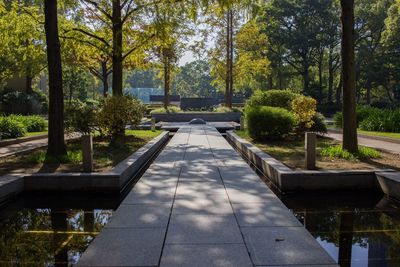 Footpath in park