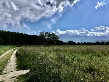 Scenic view of field against sky