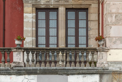 Low angle view of potted plants on window of building