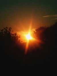 Silhouette of trees at sunset