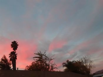 Low angle view of silhouette trees against sky during sunset