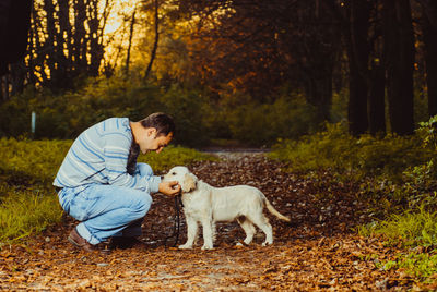 Dog on dirt road amidst trees during autumn