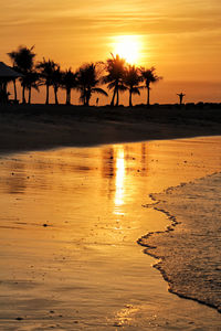 Silhouette of palm trees on beach during sunset