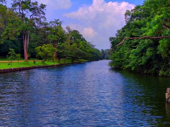 River amidst trees in forest against sky