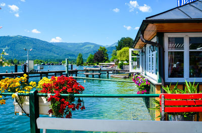 Potted plants by railing against mountain range