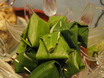 High angle view of green leaves on plant