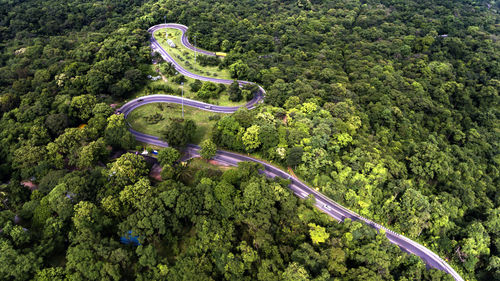 High angle view of road amidst trees in forest