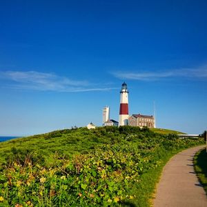 Lighthouse amidst plants against sky