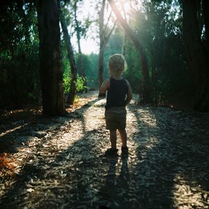 Rear view of boy standing on pathway amidst trees at forest